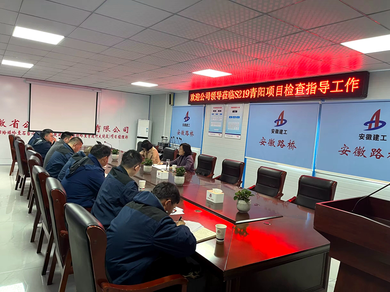 公司黨委委員、紀(jì)委書記王鵬到S219青陽改建項目調(diào)研指導(dǎo)工作